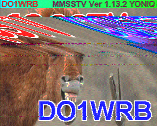 DO1WRB-202603220044.raw.png