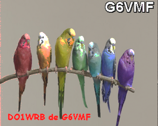 G6VMF-202601281920.raw.png