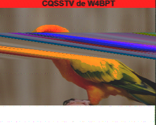 W4BPT-202507201521.raw.png