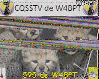W4BPT-202507211442.raw.png