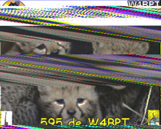 W4BPT-202507211448.raw.png