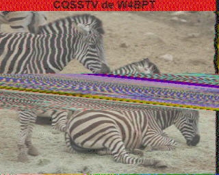 W4BPT-202507220311.raw.png